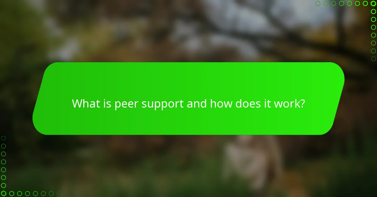What is peer support and how does it work?