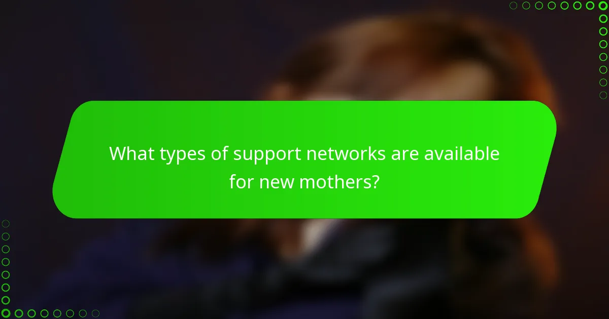 What types of support networks are available for new mothers?