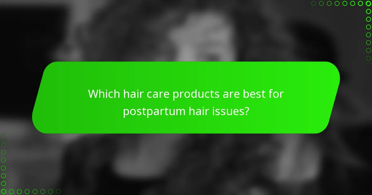 Which hair care products are best for postpartum hair issues?