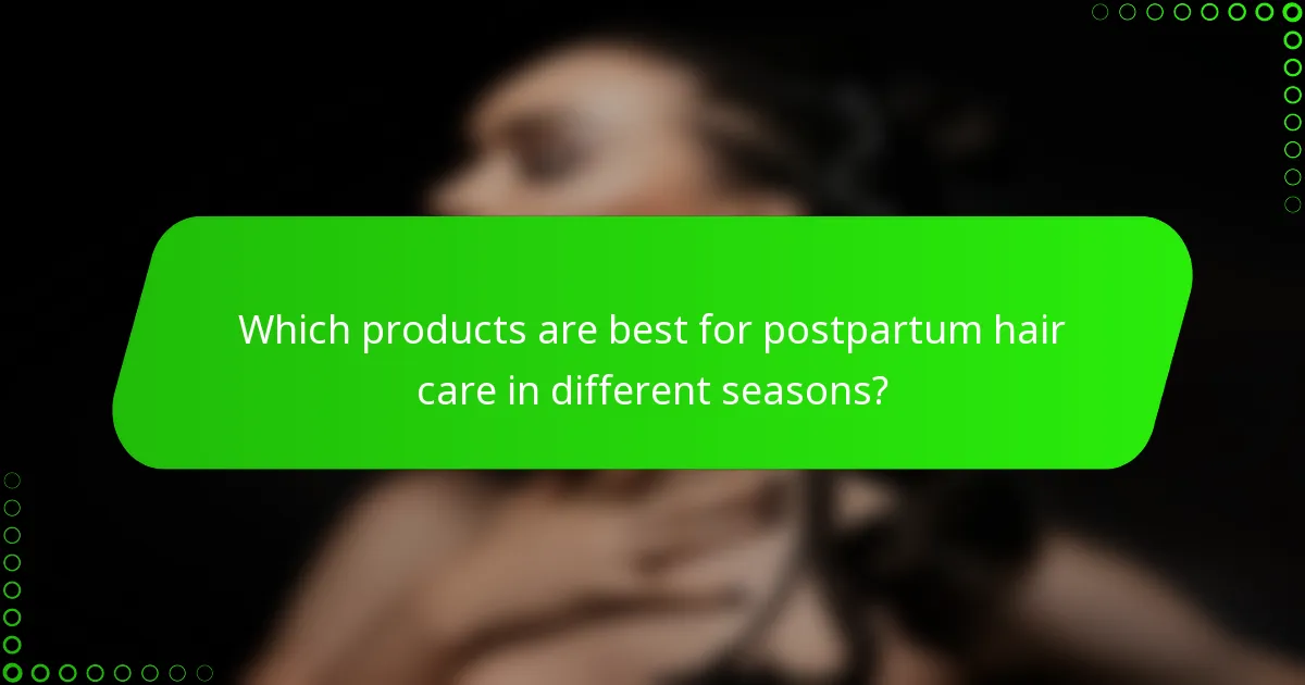 Which products are best for postpartum hair care in different seasons?